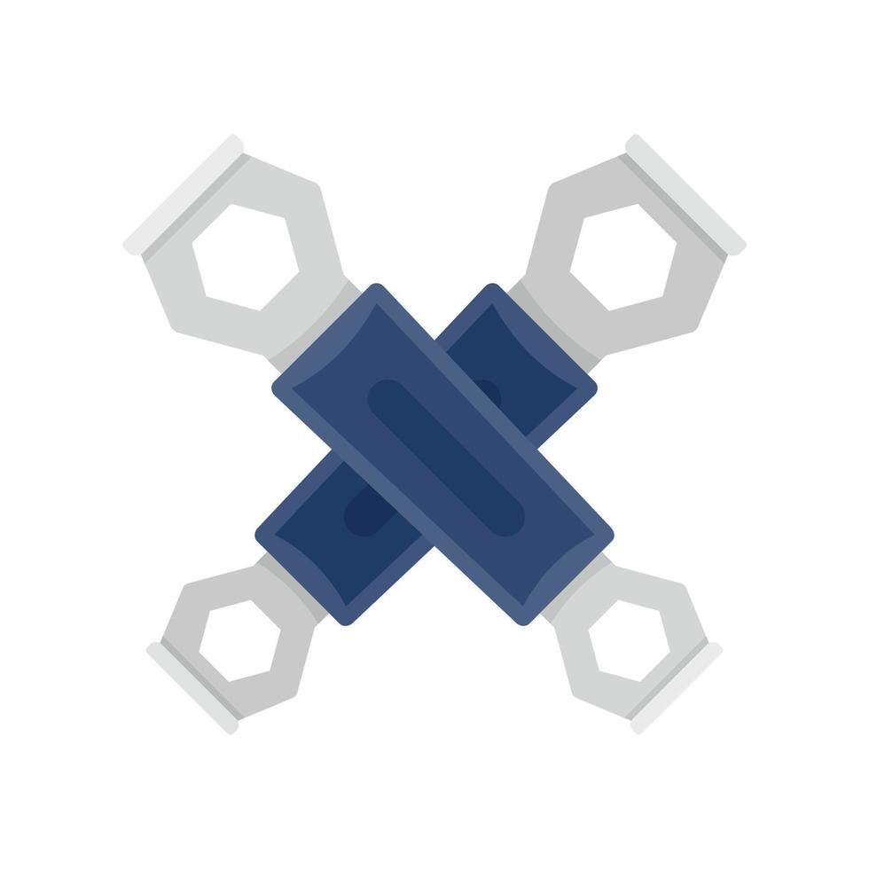 Bike key icon, flat style vector