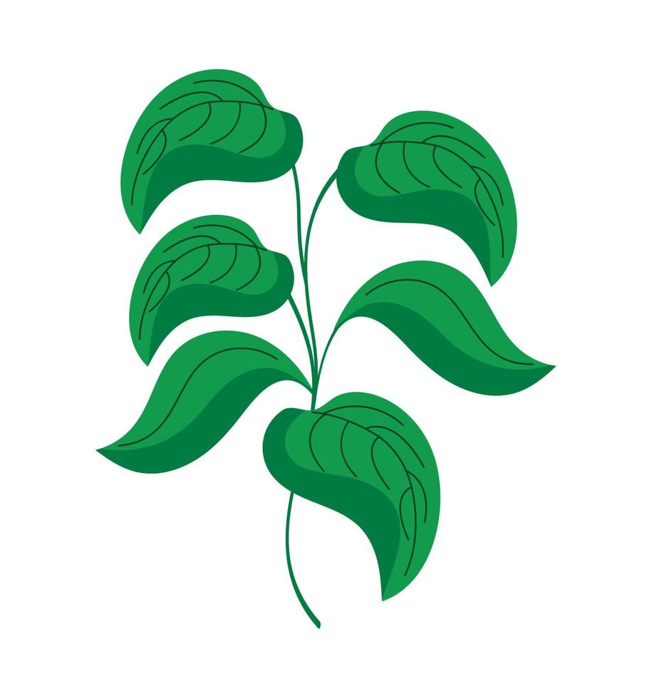 branch with leafs plant vector
