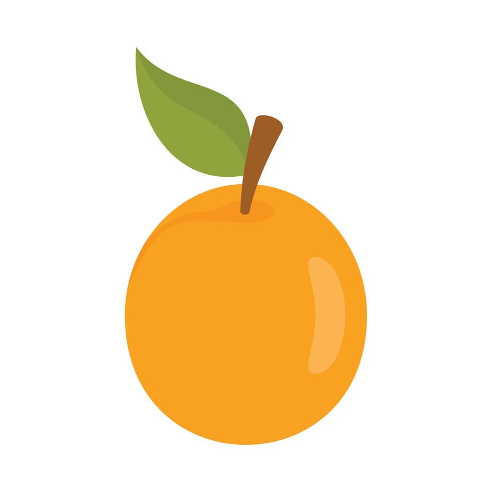 Fresh apricot icon, flat style vector