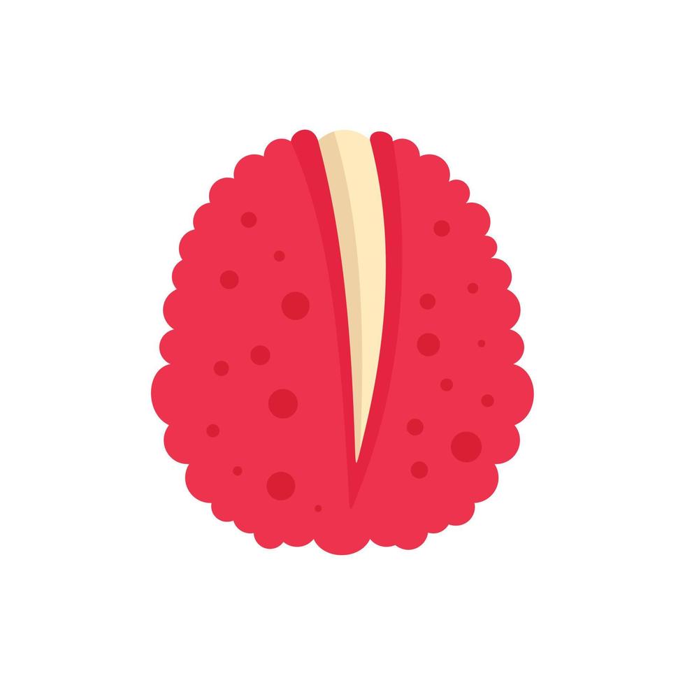 Diet lychees icon, flat style vector