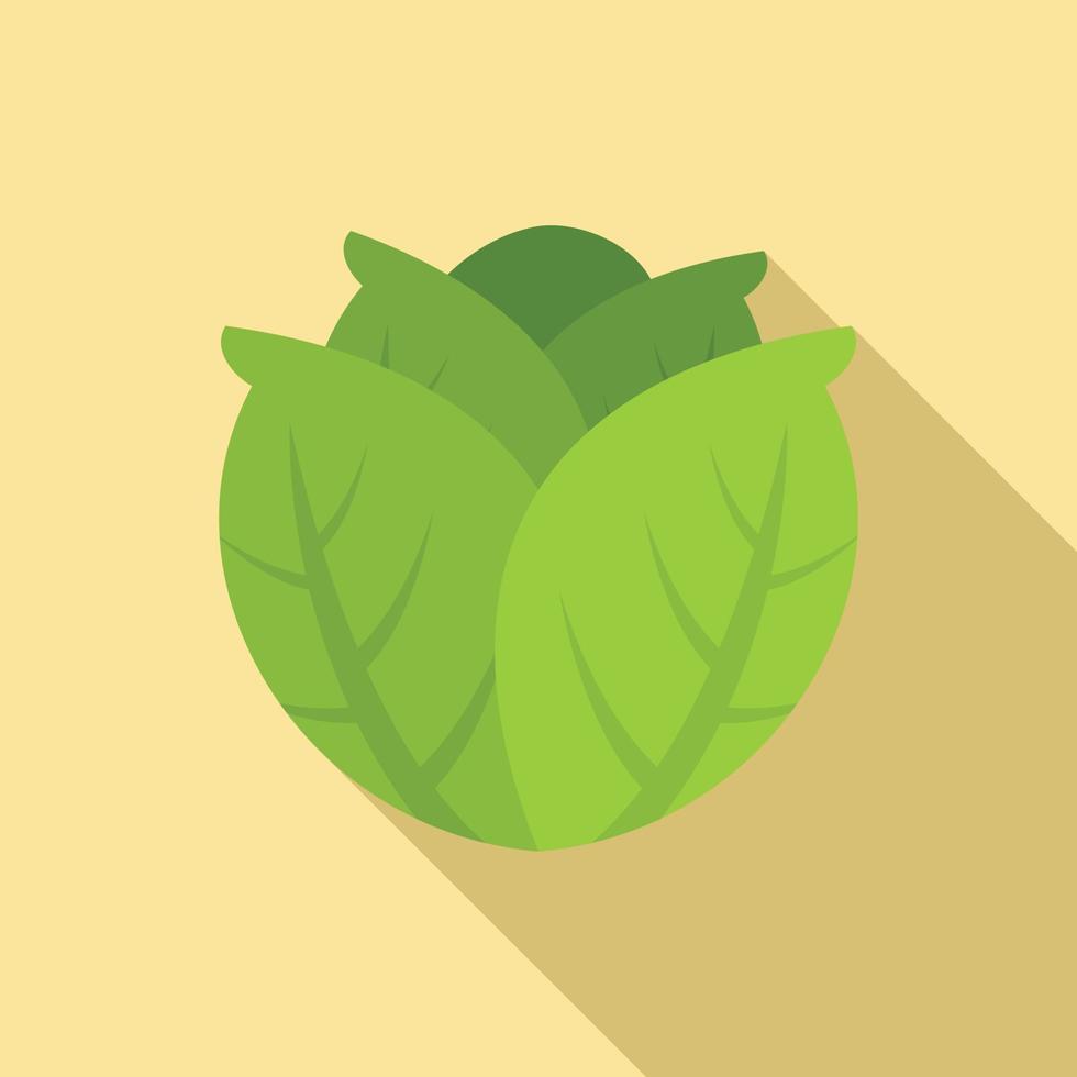 Diet cabbage icon, flat style vector