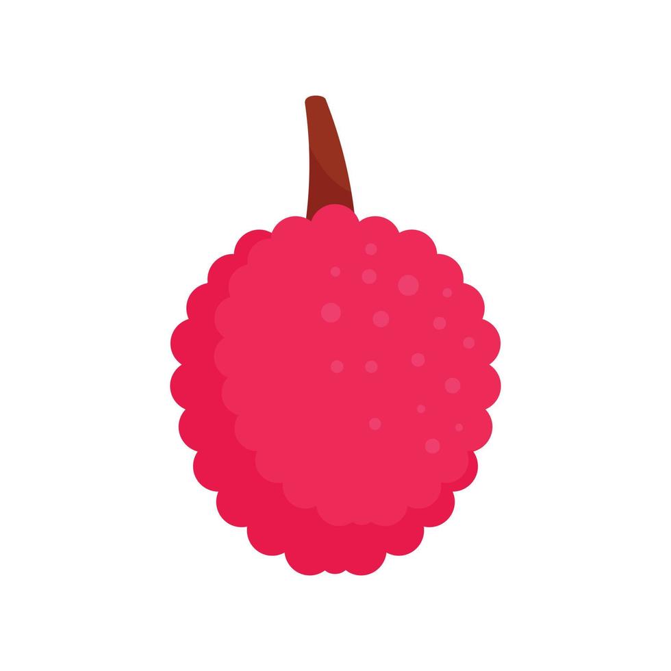 Lychees fruit icon, flat style vector