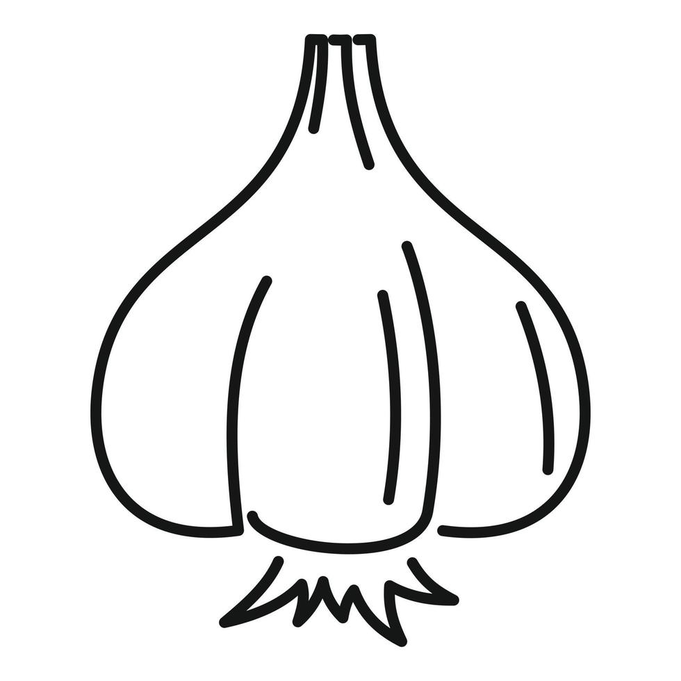 Fresh garlic icon, outline style vector