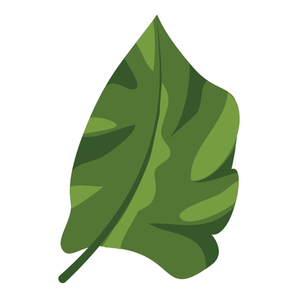 Botanical tropical leaf icon, cartoon style vector