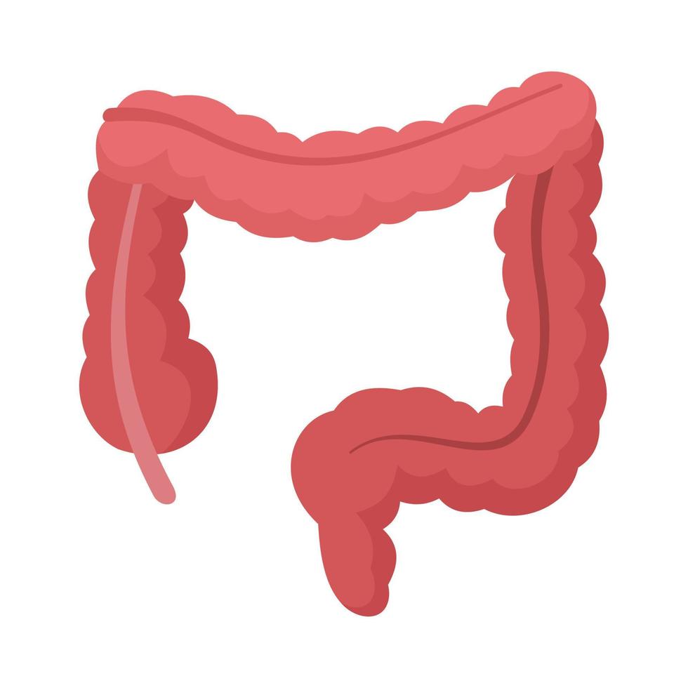 icono del intestino humano, estilo plano vector