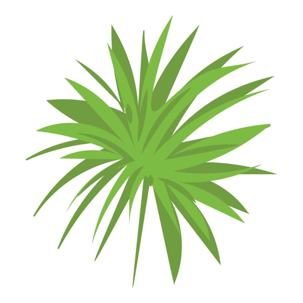 Papyrus frond icon, cartoon style vector