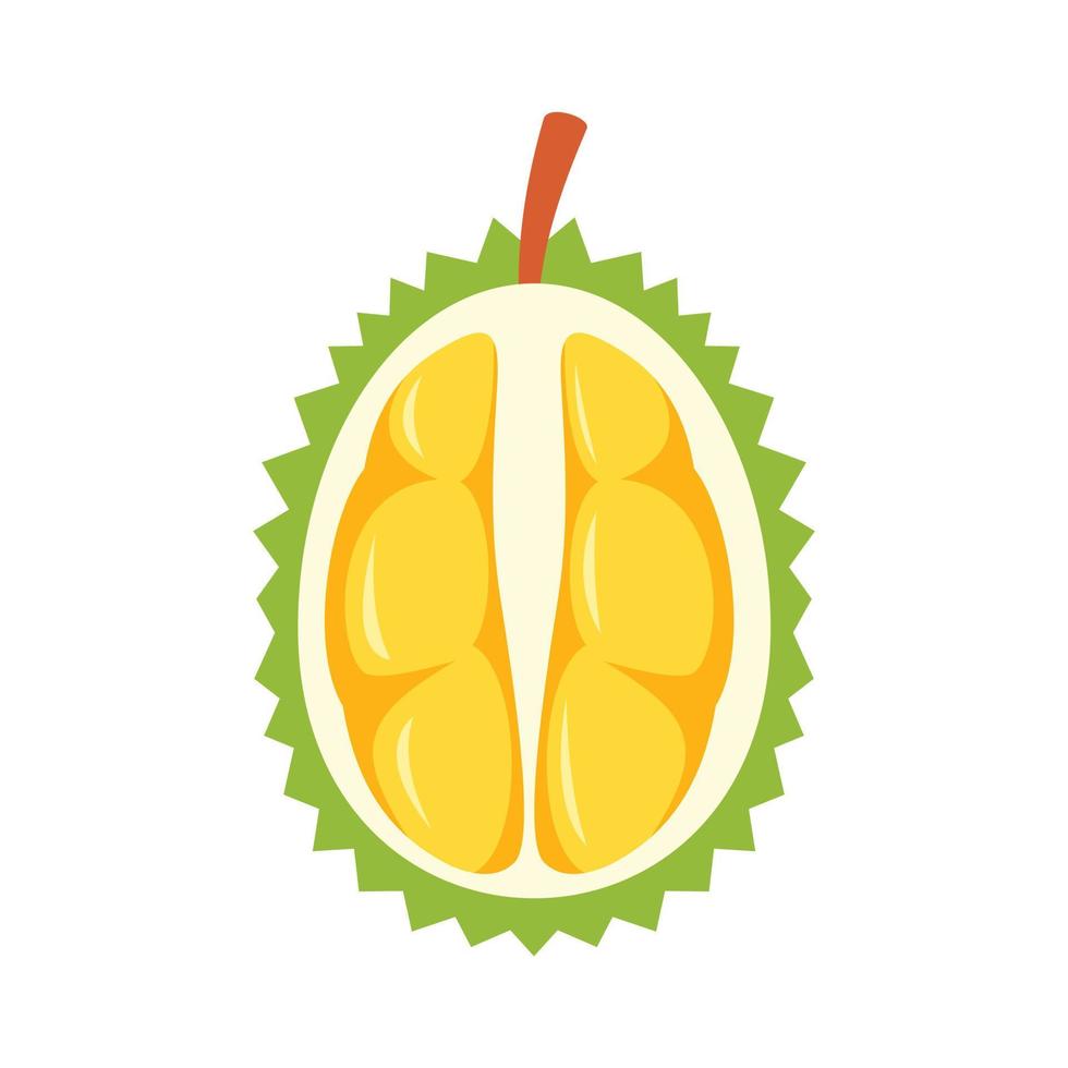 icono de durian medio fresco, estilo plano vector
