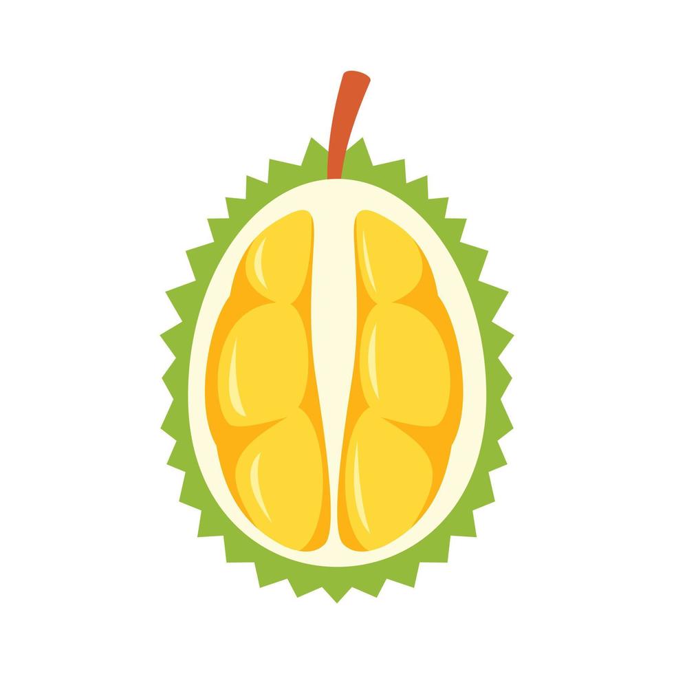Half fresh durian icon, flat style vector