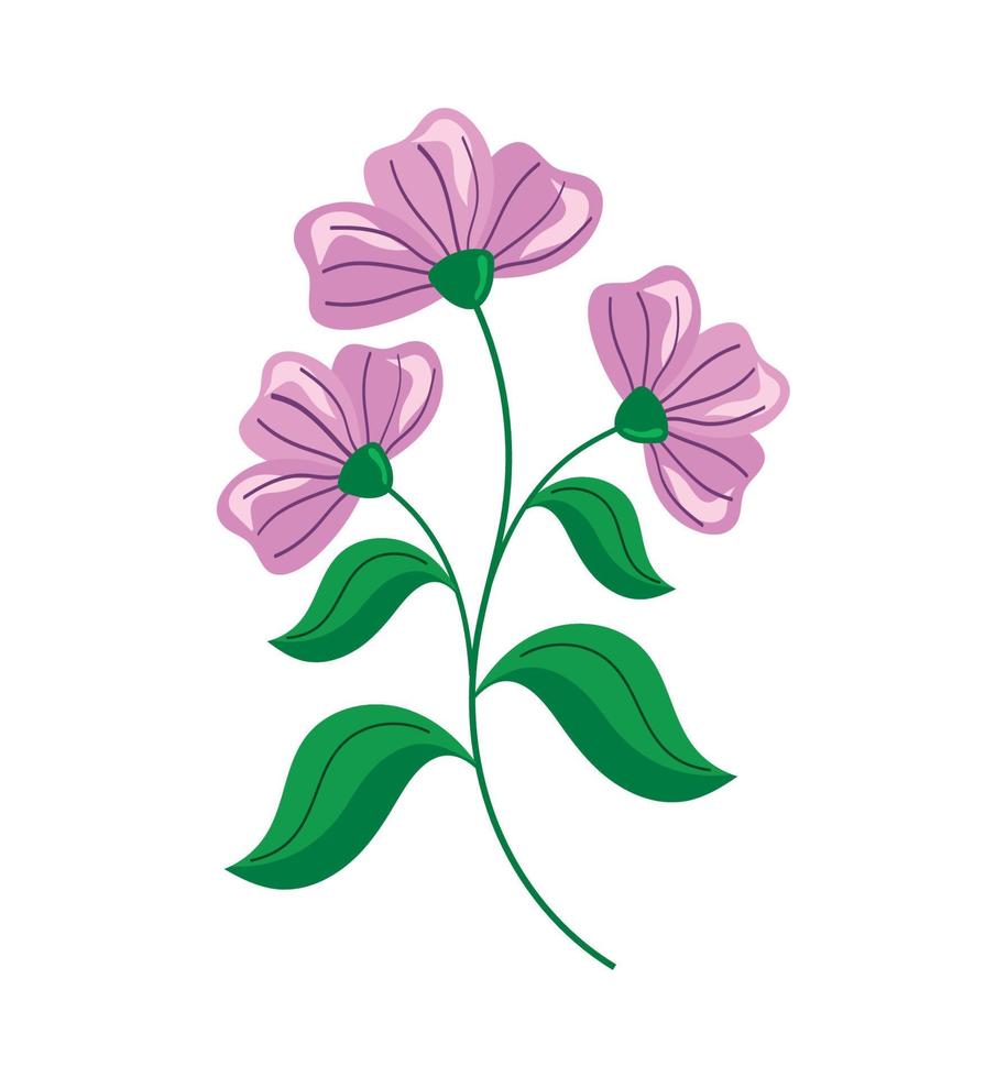 lilac flowers garden plant vector