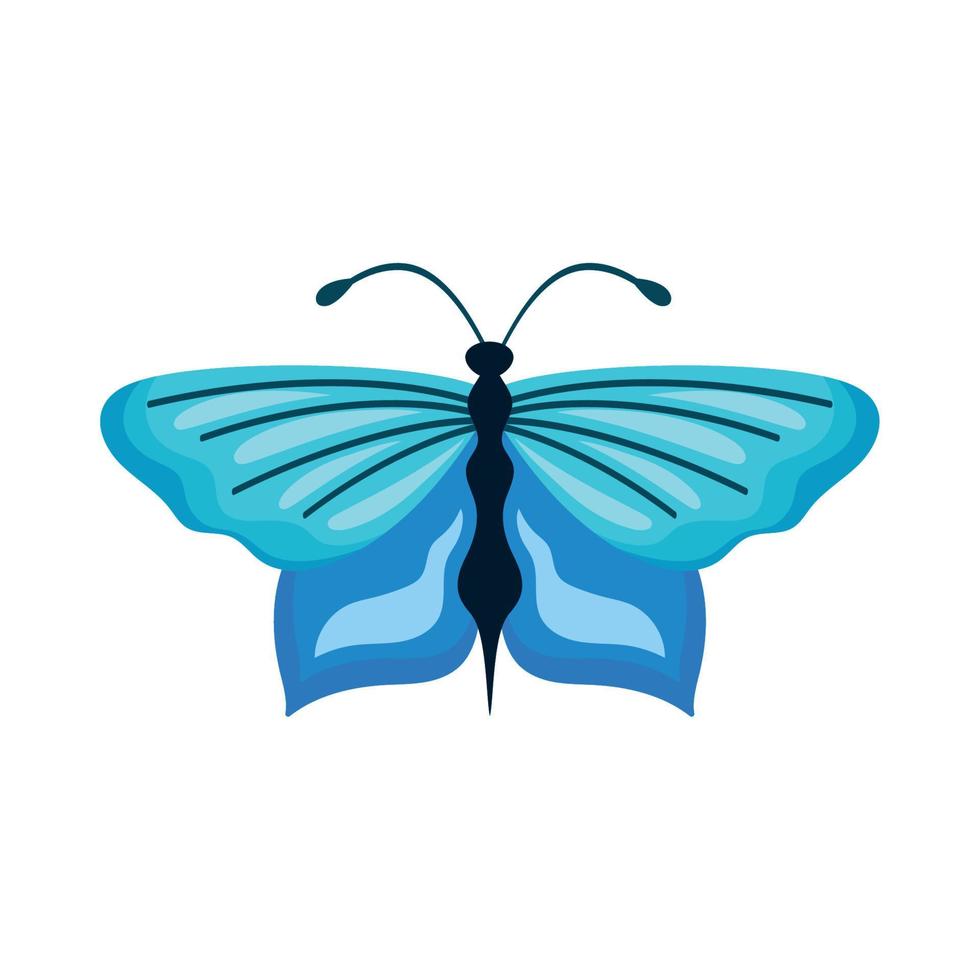 belleza mariposa azul insecto vector