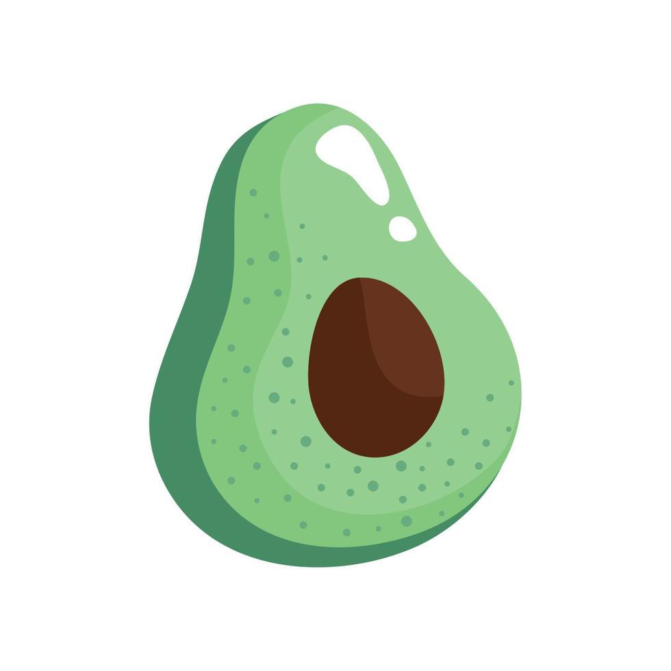 fresh avocado vegetable vector