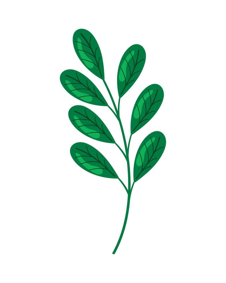 green branch with leafs vector