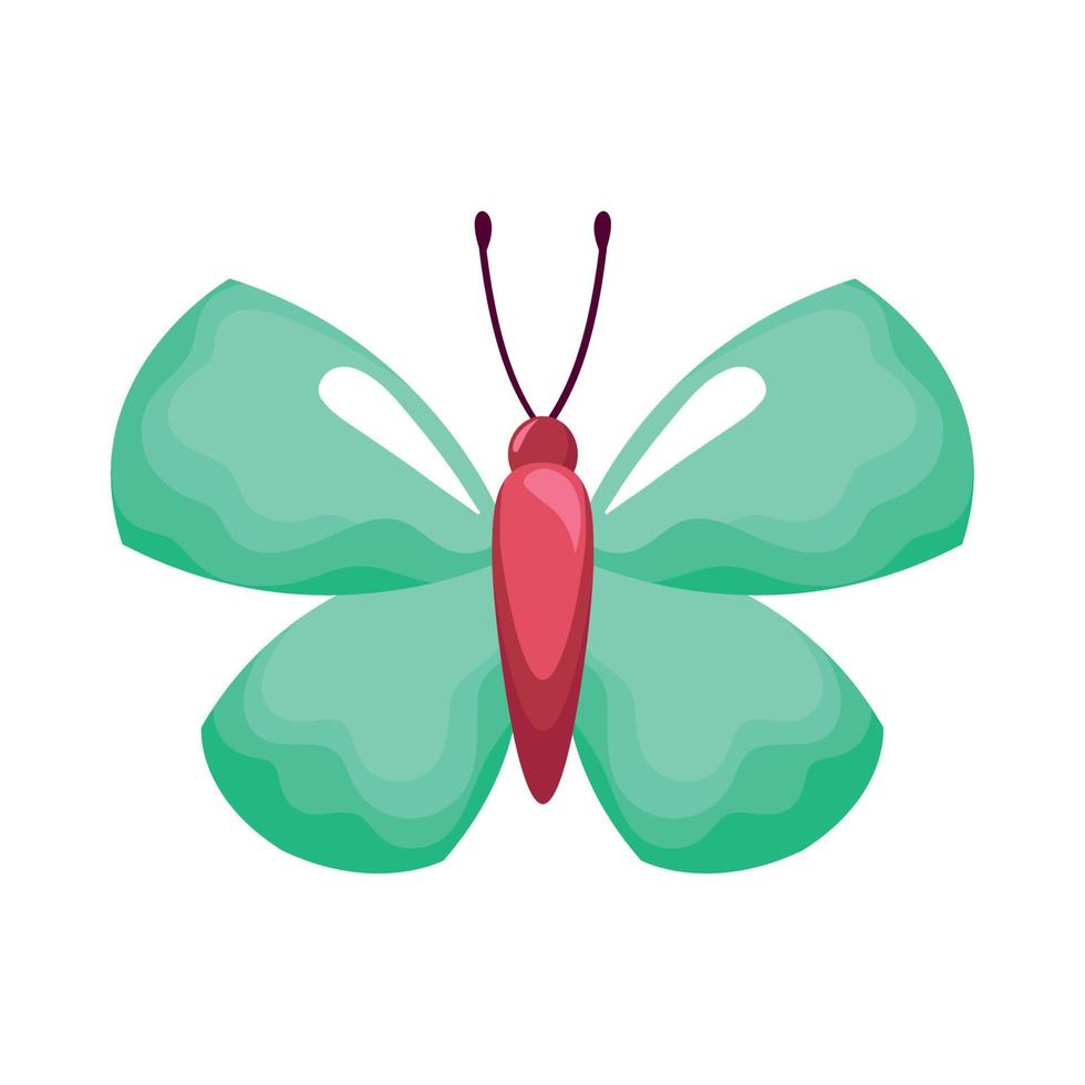 green beauty butterfly insect vector