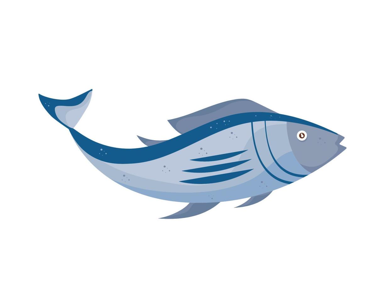 fresh fish protein seafood vector