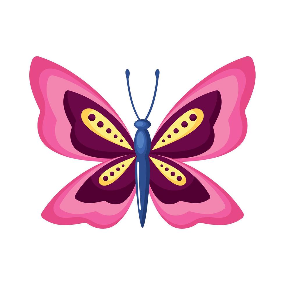 beauty pink butterfly insect vector