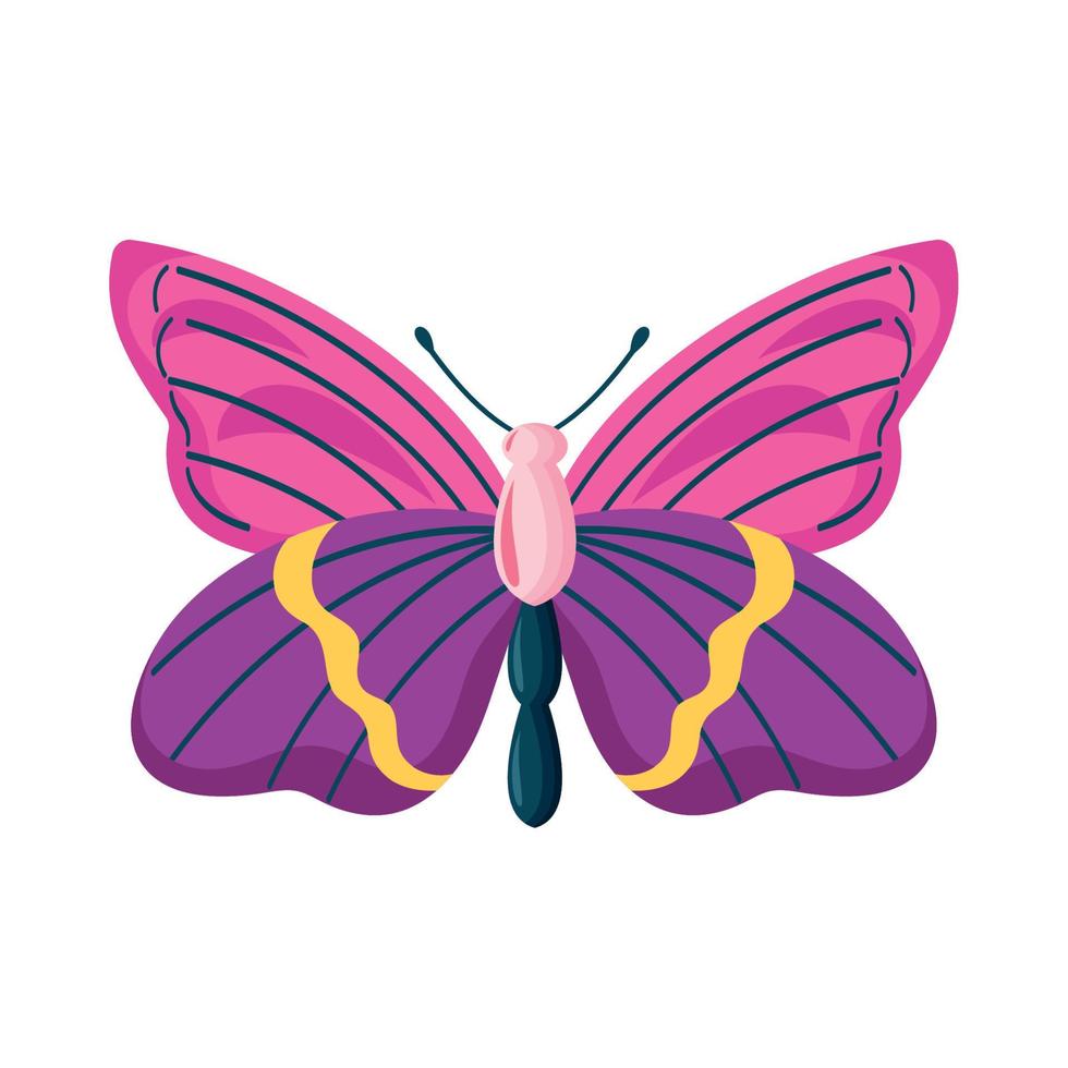 insecto mariposa rosa y morado vector