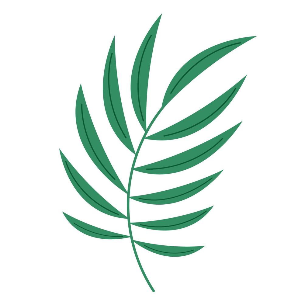 branch with leafs vector