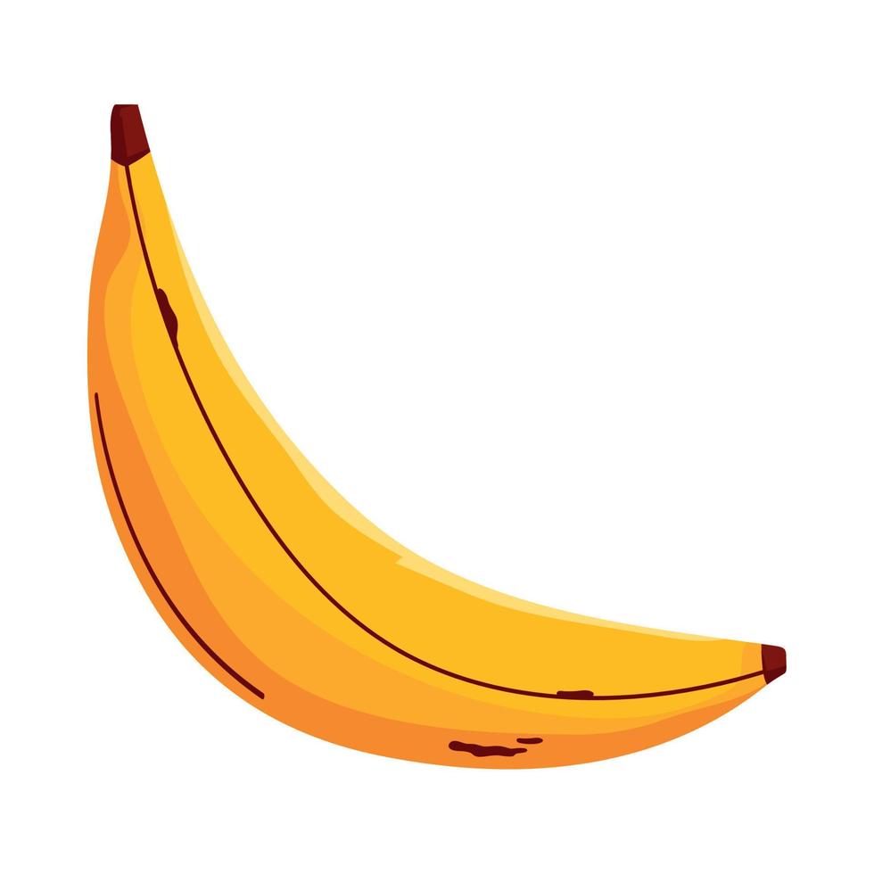 fresh banana fruit healthy vector