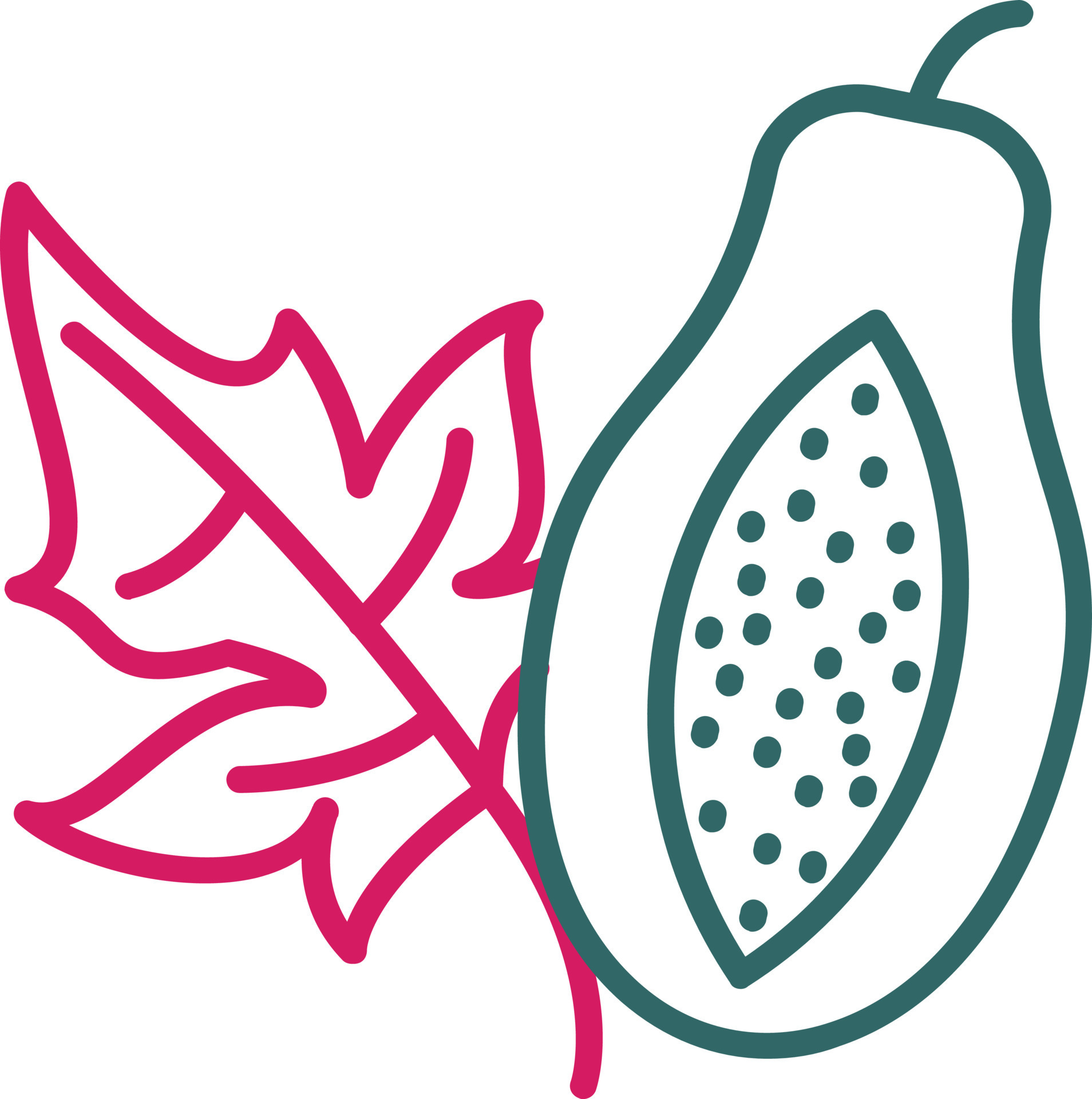 Papaya Line Two Color 14483993 Vector Art at Vecteezy
