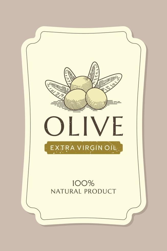 plantilla de etiqueta de aceite de oliva con rama de olivo en estilo vintage, dibujado a mano y de línea vector