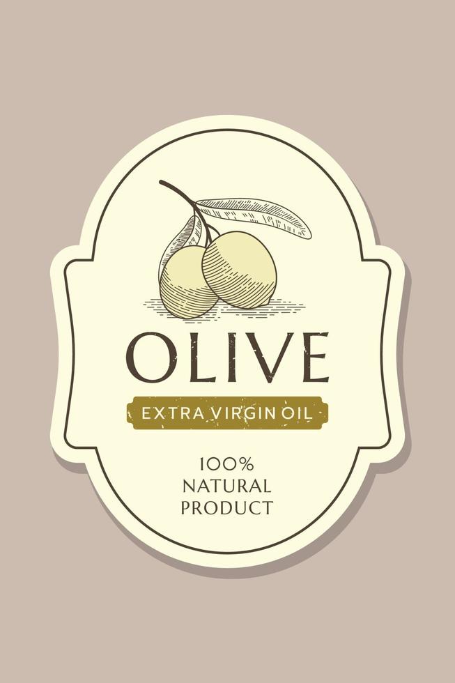 plantilla de etiqueta de aceite de oliva con rama de olivo en estilo vintage, dibujado a mano y de línea vector