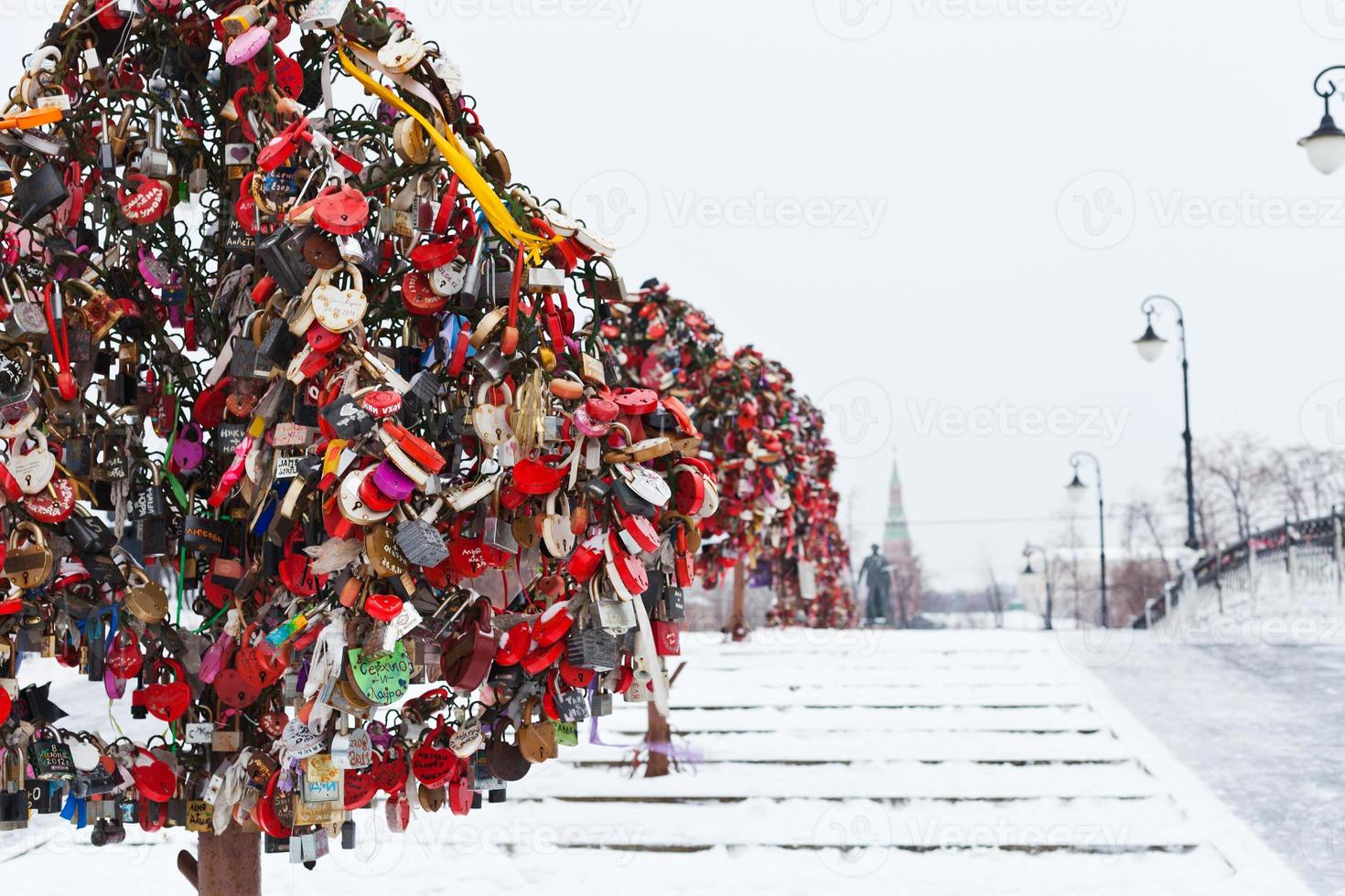 Love Tree with honeymooner locks photo