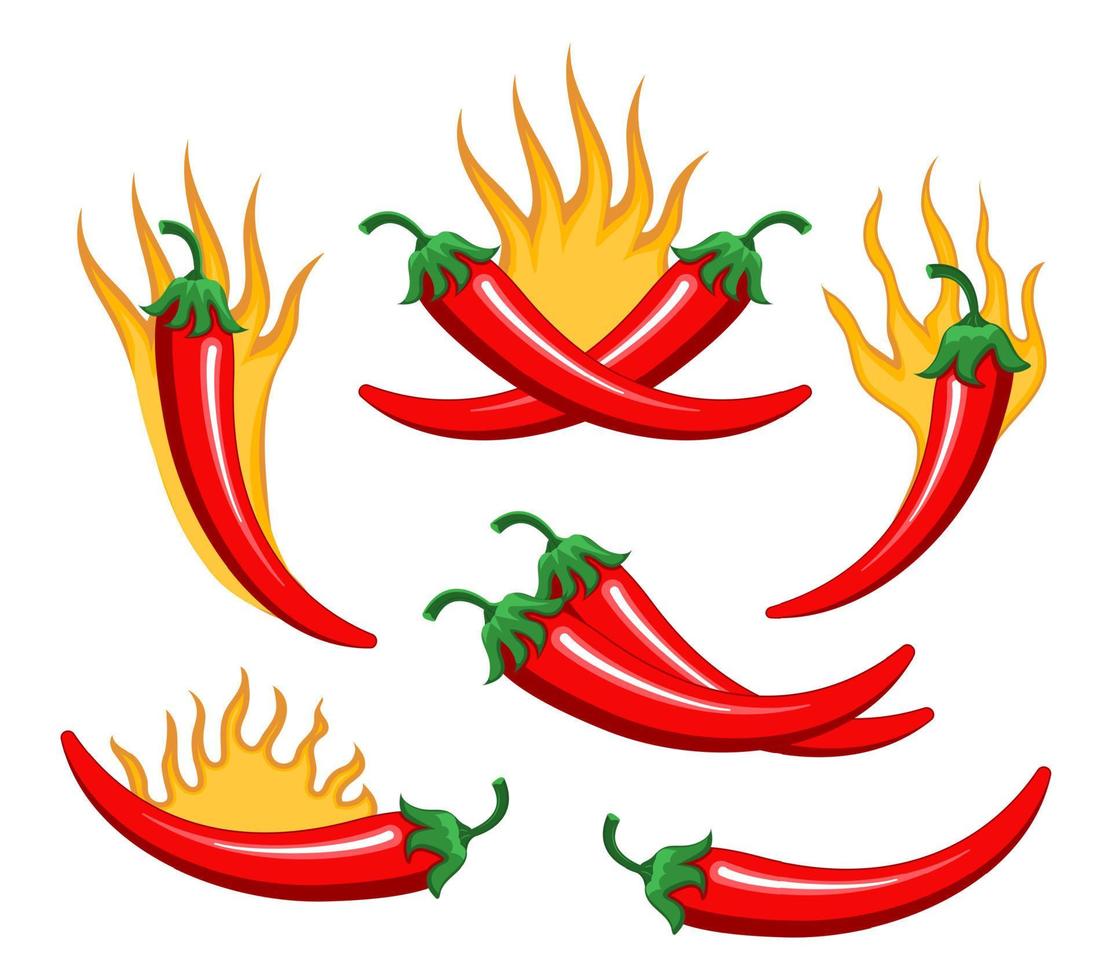 Red chilly peppers are burning as spicy sign. Cartoon vector isolated on the white background. Hot chillies in fire for food logo, banner, flyer