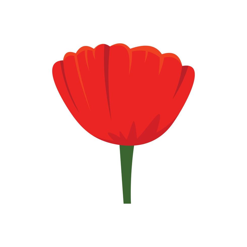 Beauty poppy flower icon, flat style vector