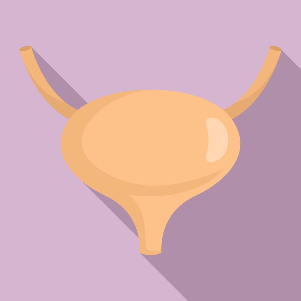 Bladder icon, flat style vector