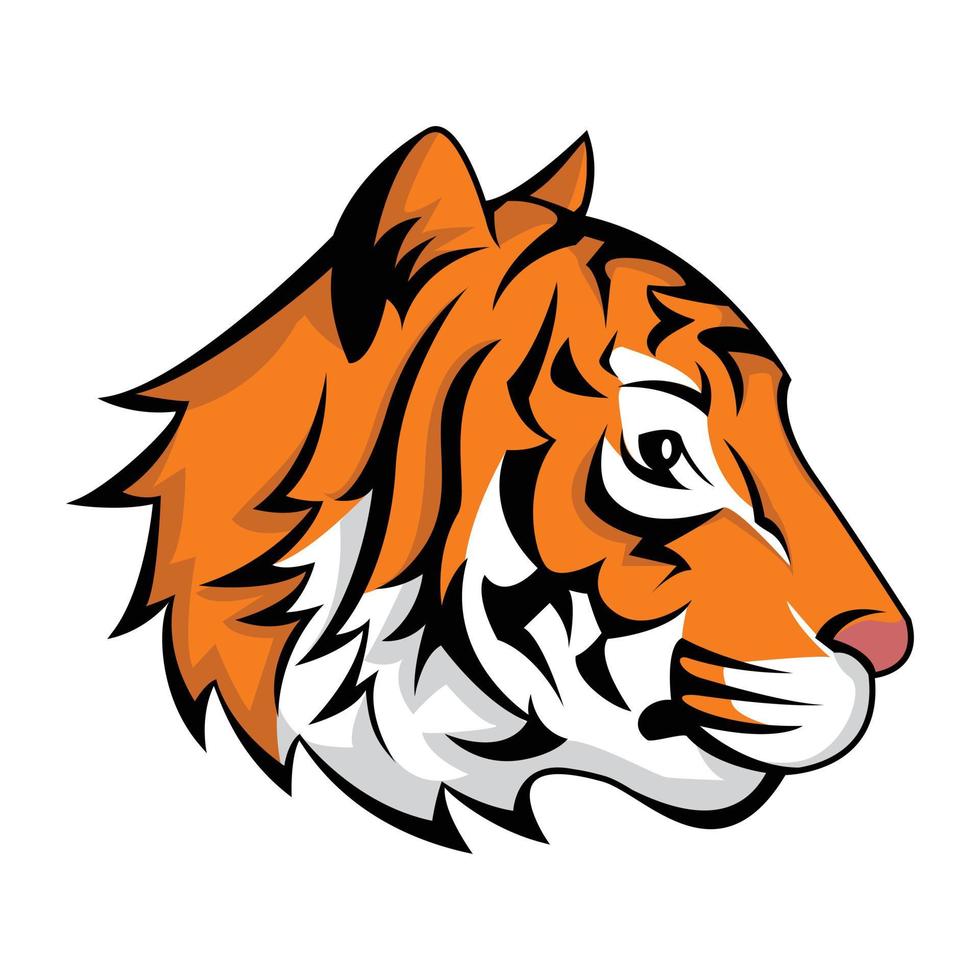 Tiger Head Side View 14486500 Vector Art at Vecteezy