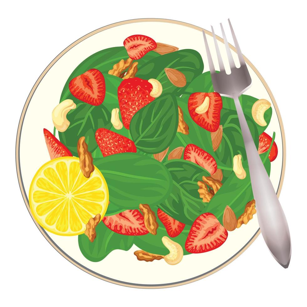 Spinach salad with nut and fruit icon, cartoon style vector