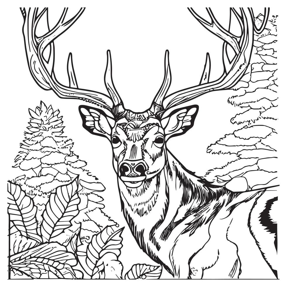 Deer outline animal for coloring book. Vector illustration of mammal in nature.