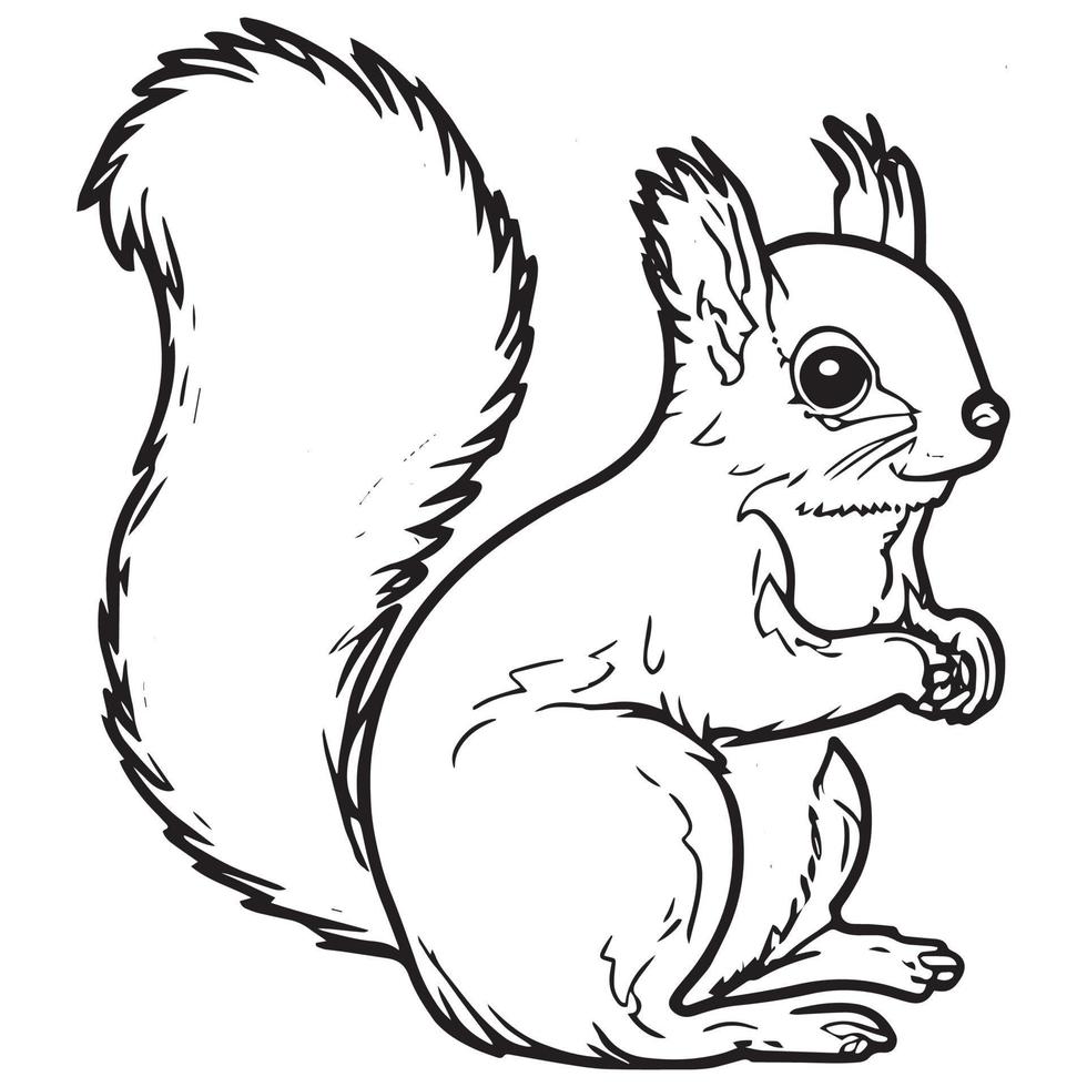 Squirrel outline vector illustration. Coloring book for children. 14487618  Vector Art at Vecteezy