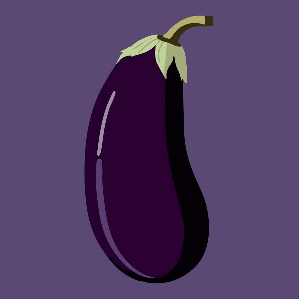 Flat aubergine vector art illustration. Fresh healthy eggplant.