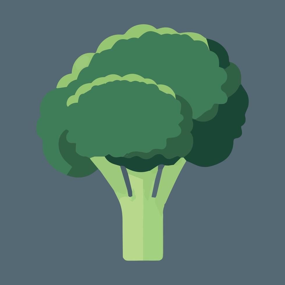 Healthy broccoli vector illustration. Organic fresh healthy vegan vegetable.