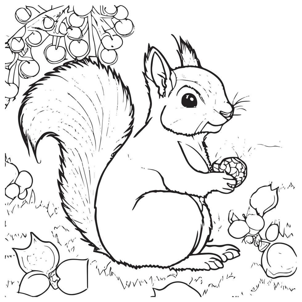 Squirrel outline vector illustration. Coloring book for children.