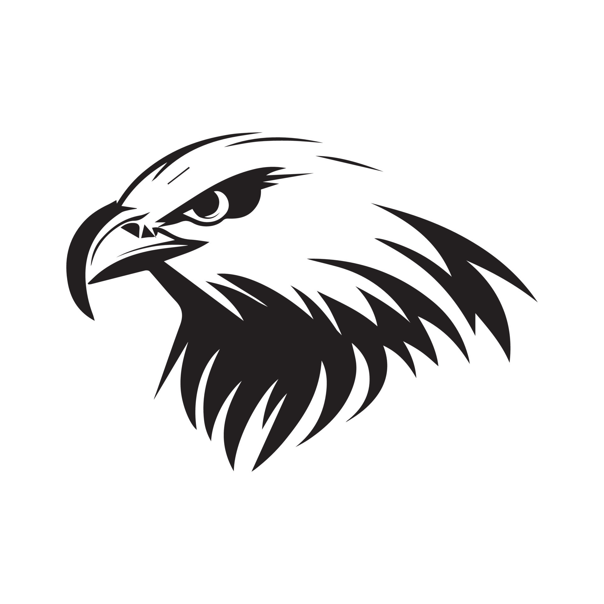 Minimal eagle logo of a clean modern vector symbol of bird 14487896