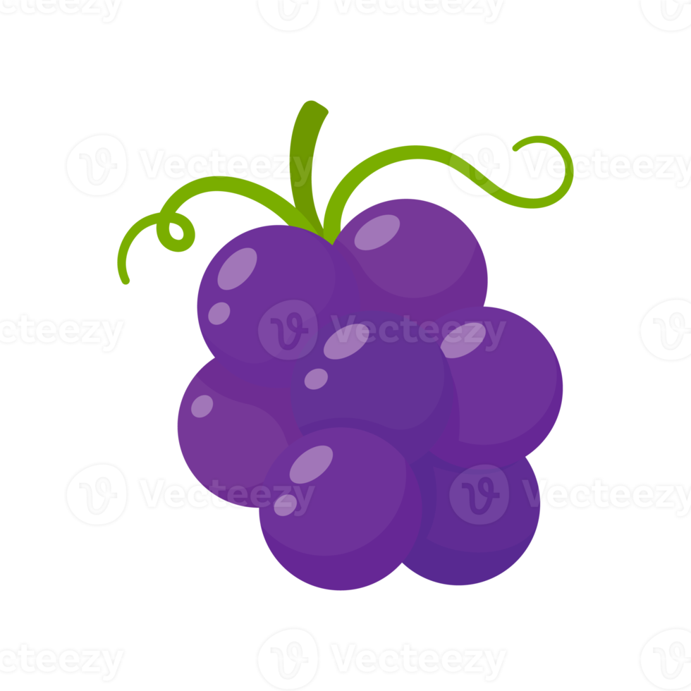 uvas roxas. fruta doce saudável para vegetarianos. png