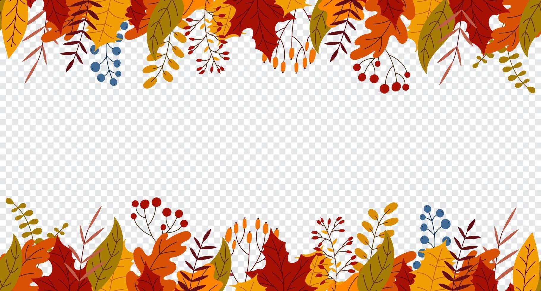 banner horizontal transparente con plantas coloridas de otoño. encantador patrón de otoño. dibujado a mano. ilustración vectorial vector