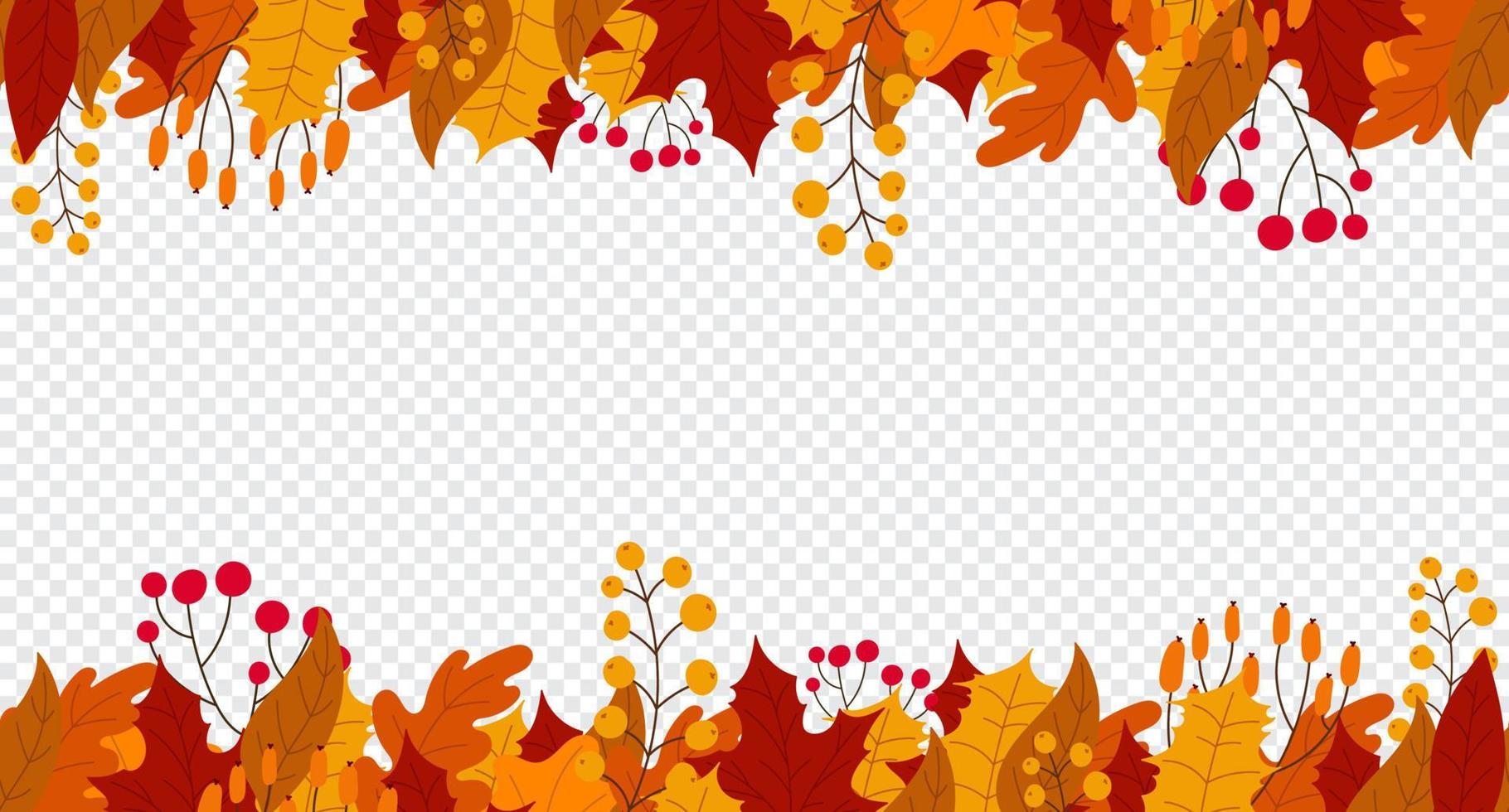 Background with leaves and berries in the fall. Hello autumn seamless banner with orange and red leaves. Vector illustration