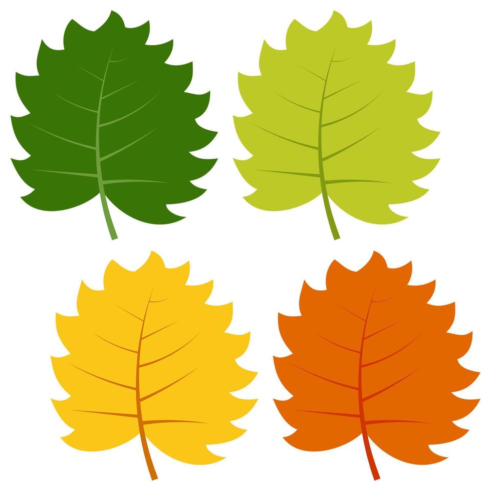 conjunto de hojas verdes, amarillas y rojas aisladas sobre fondo blanco. ilustración vectorial de hojas de otoño. vector