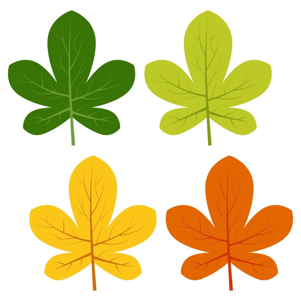 Set of green, yellow and red leaves isolated on white background. Vector illustration of autumn leaves.