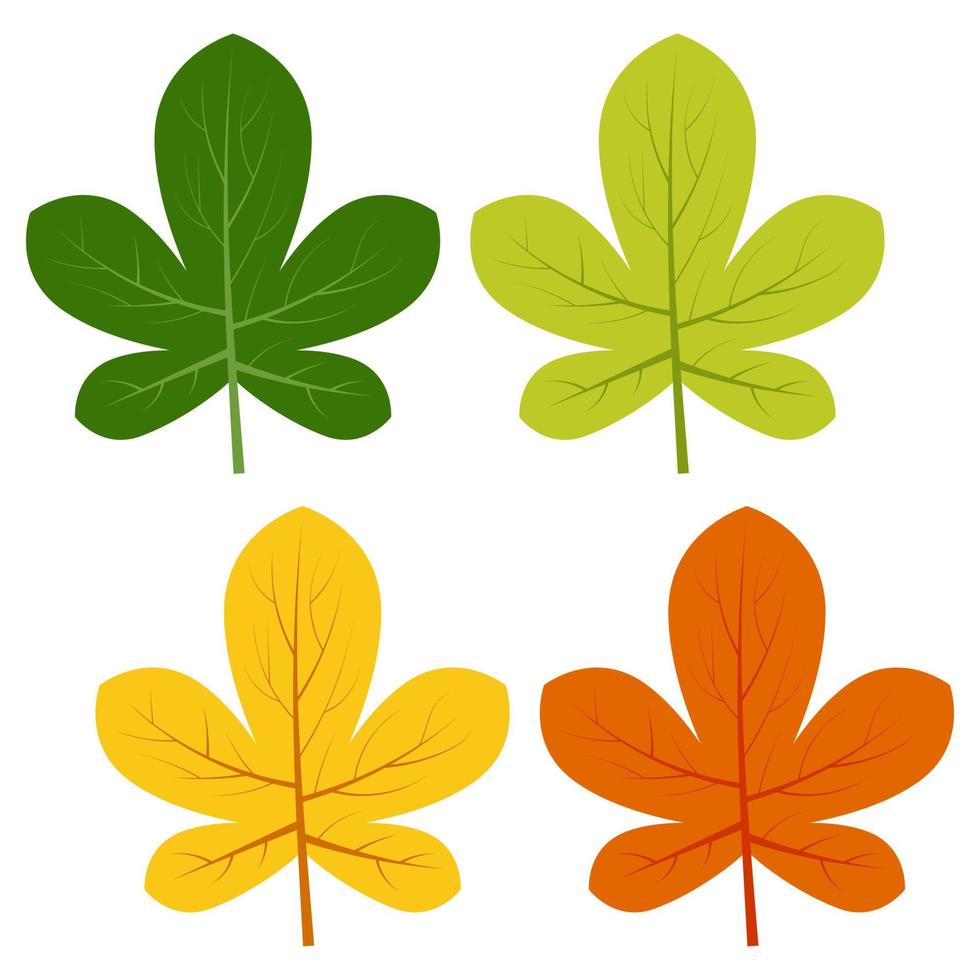 Set of green, yellow and red leaves isolated on white background. Vector illustration of autumn leaves.