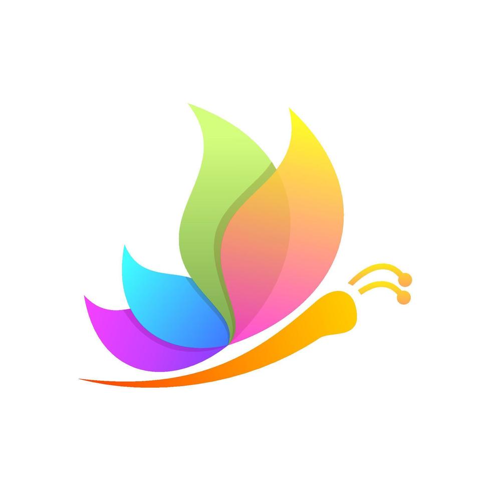 colorful butterfly vector design