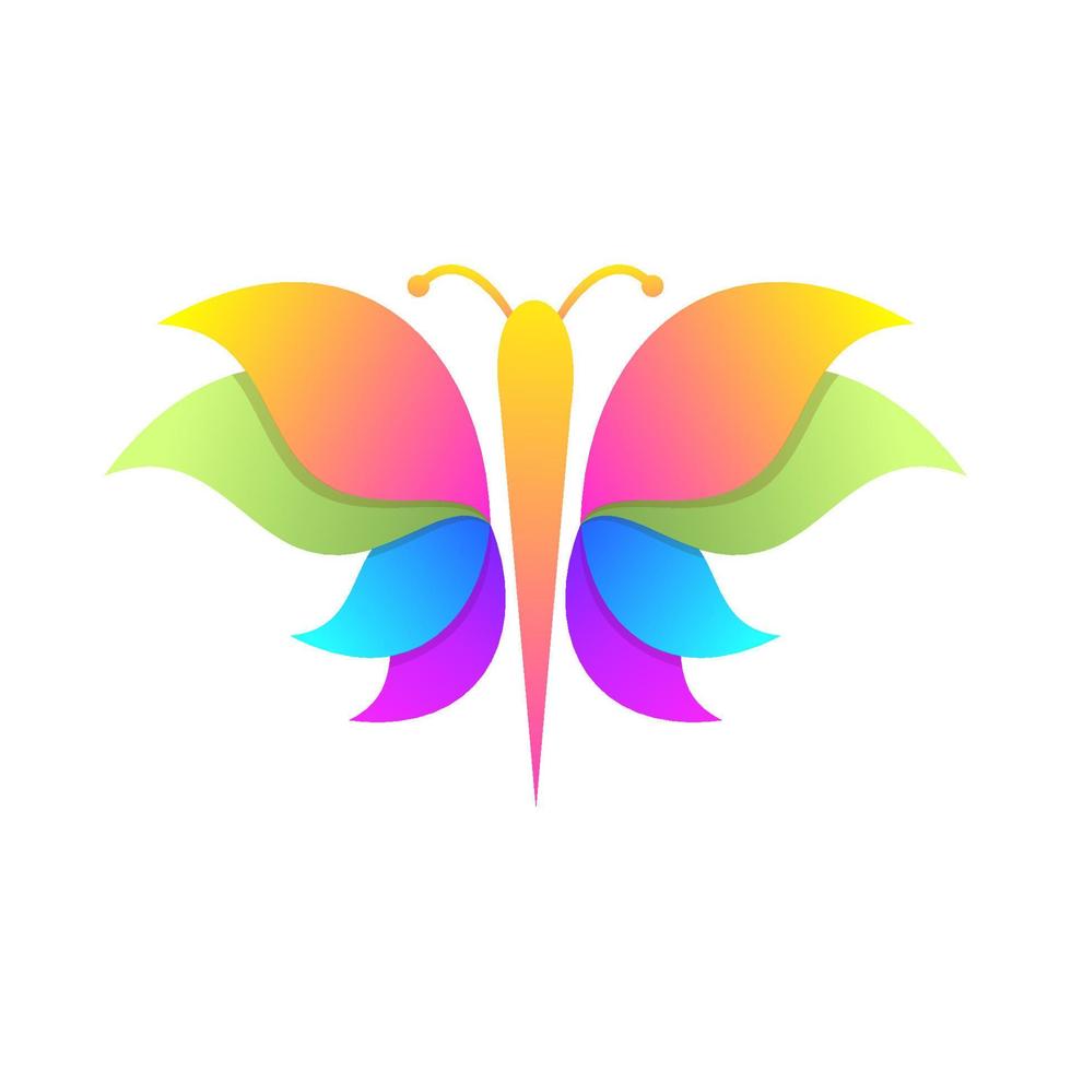 colorful butterfly vector design