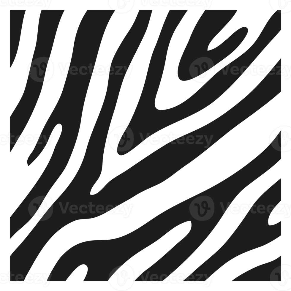 svarta ränder på huden på en zebra för dekorationsgrafik png