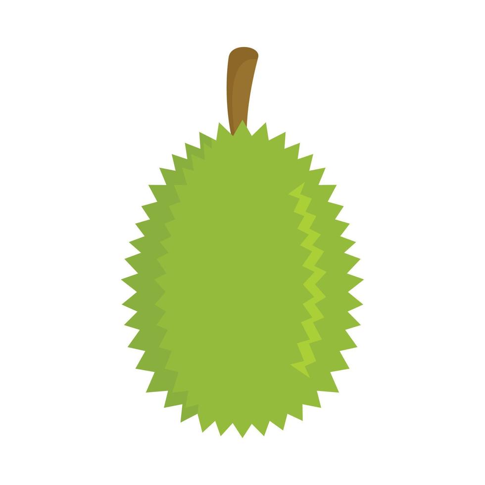 Whole durian icon, flat style vector