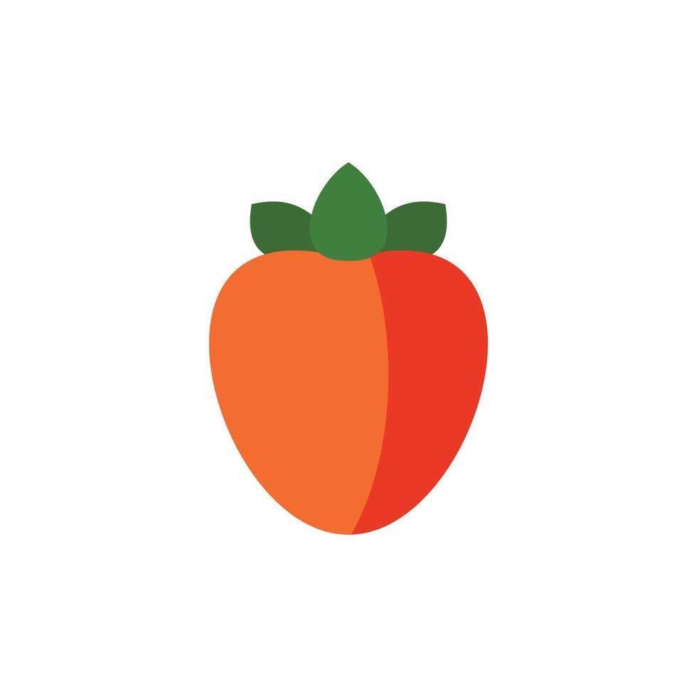 Persimmon icon in flat style vector