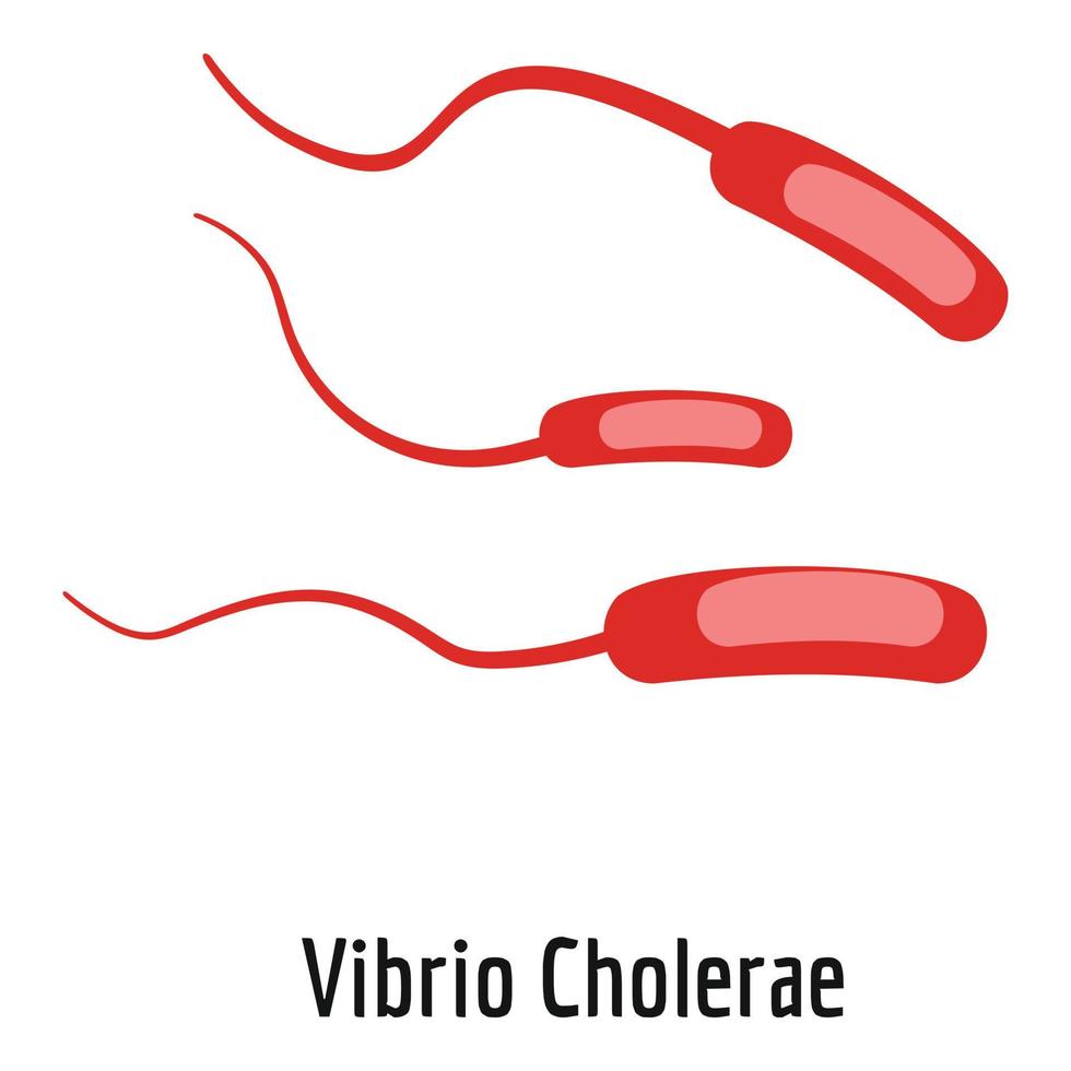 Vibrio Cholerae icon, cartoon style. vector