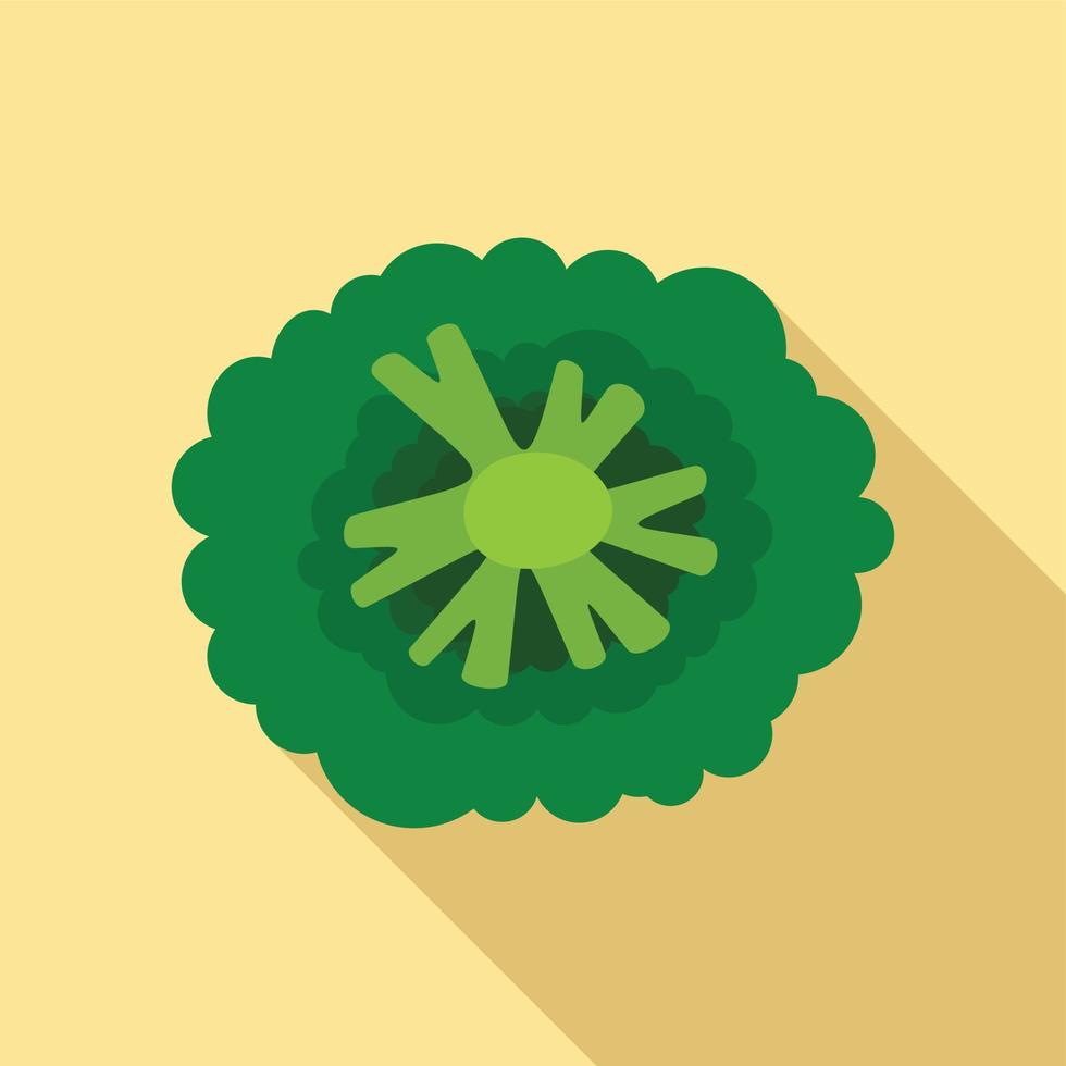 Top view broccoli icon, flat style vector